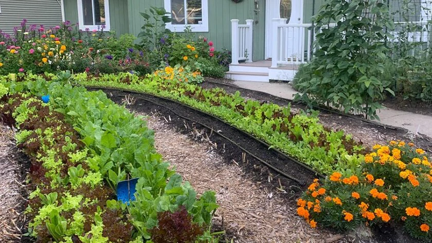 Integrating permaculture design into an urban backyard farm
