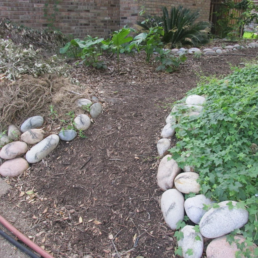 Integrating permaculture design into an urban backyard farm