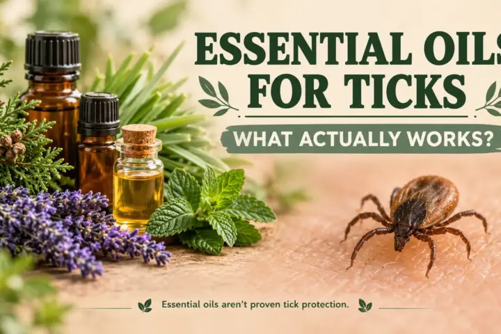 Essential Oils for Ticks: What Actually Works?