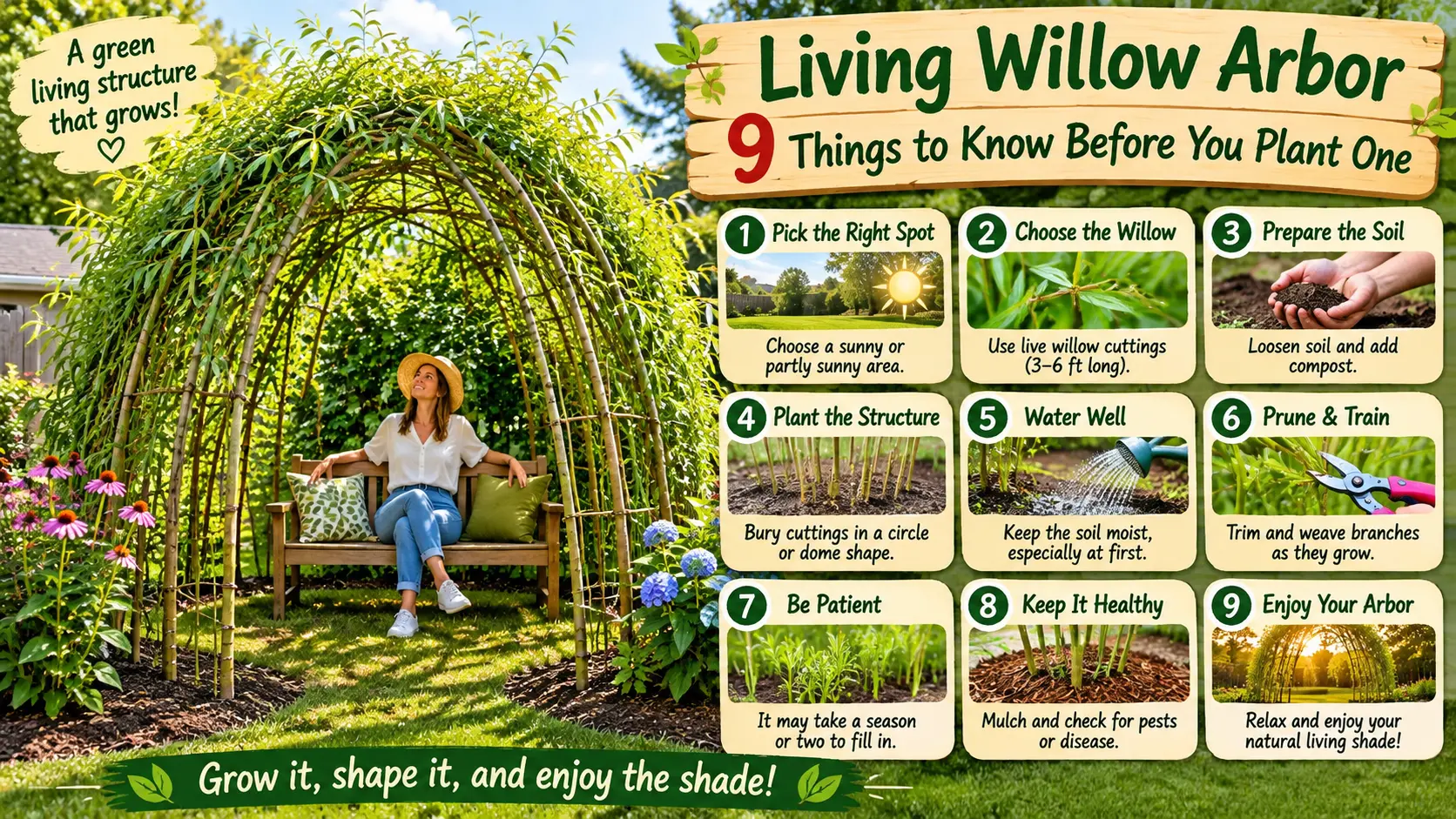 Living Willow Arbor: 9 Things to Know Before You Plant One